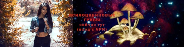 бошки Магас