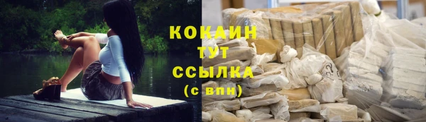 бошки Магас