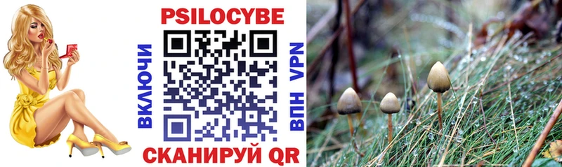 сколько стоит  Новая Усмань  Псилоцибиновые грибы Cubensis 